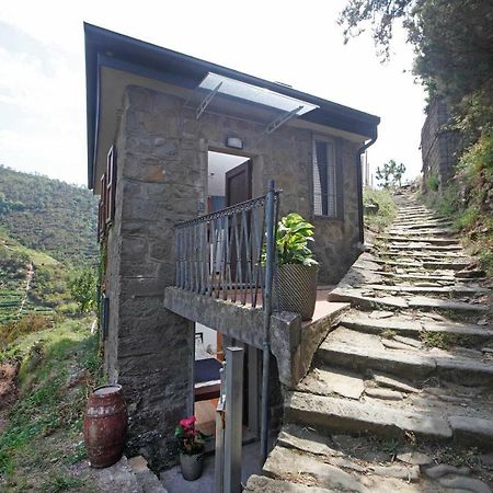 מנרולה Fiesse Cottage מראה חיצוני תמונה