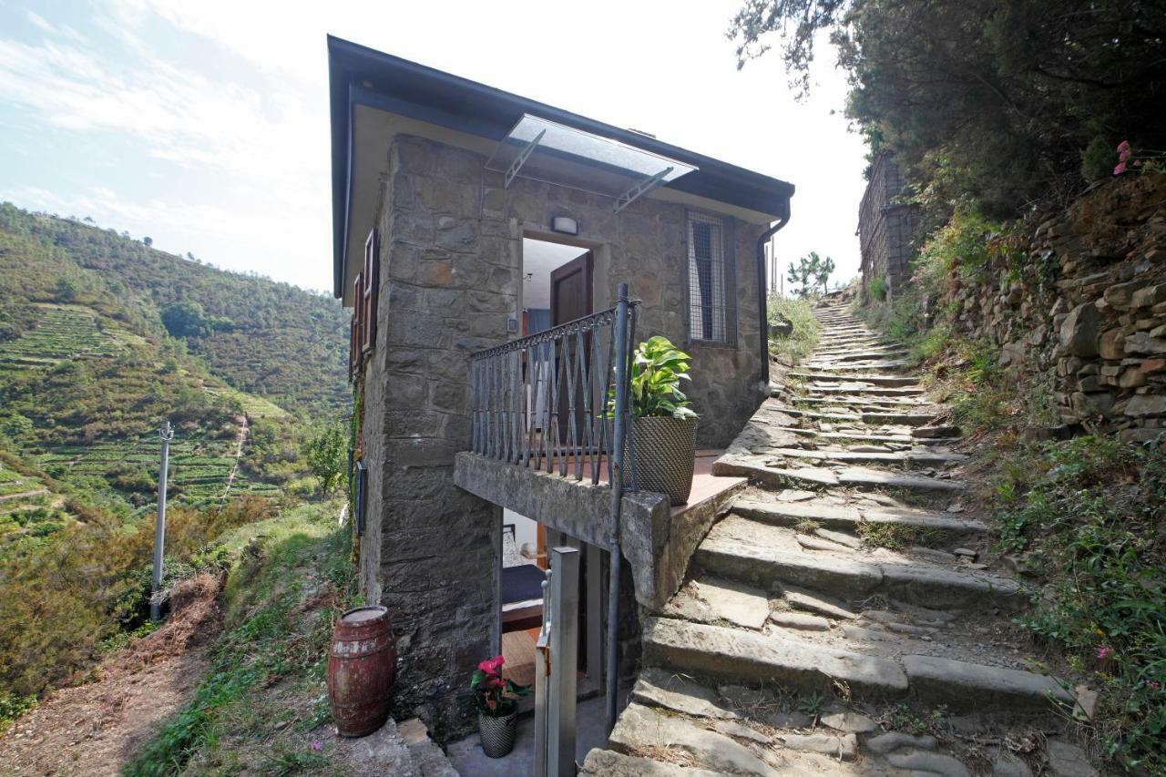 מנרולה Fiesse Cottage מראה חיצוני תמונה
