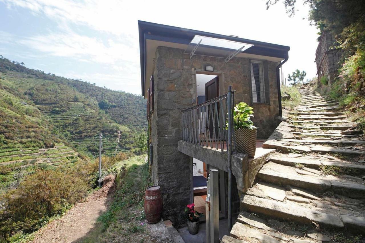 מנרולה Fiesse Cottage מראה חיצוני תמונה